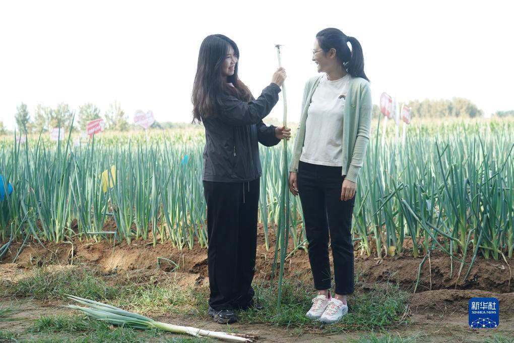 白菜送彩金100可提款